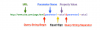 Drupal 8 remove css,js query strings